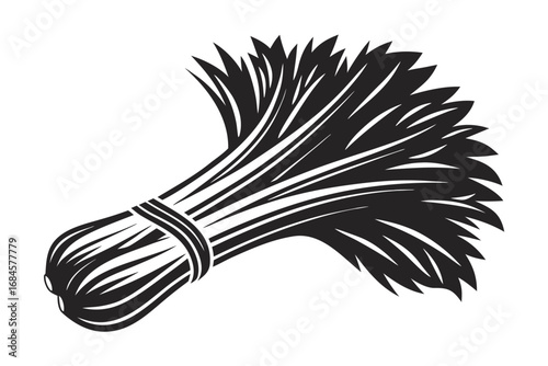 Monochrome Bunch of Grain Stalks Tied with Band Isolated on White Background