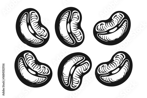 Seamless Pattern of Black Coffee Beans with White Background Detail
