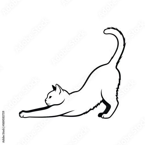 Elegant Feline Stretch A Graceful Cat in Mid-Extension