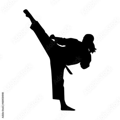 Silhouette of a female martial artist performing a high kick