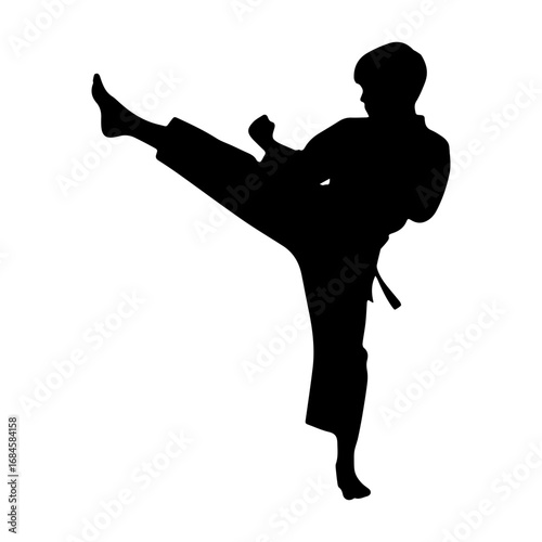 Silhouette of a girl boy executing a karate high kick