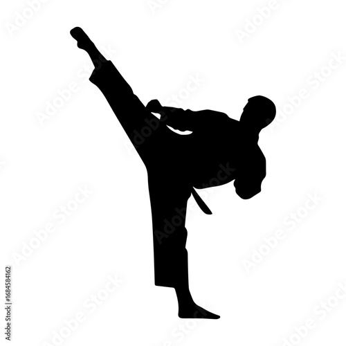 Silhouette of a martial artist performing a high kick
