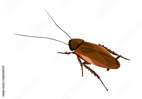 Highly Detailed Vector Illustration of a Cockroach with Brown Exoskeleton, Long Antennae, Spiny Legs, and Visible Wings for Biological and Pest Control Use  
茶色の外骨格と長い触角、棘のある脚、羽を備えたゴキブリの精密なベクターイラスト