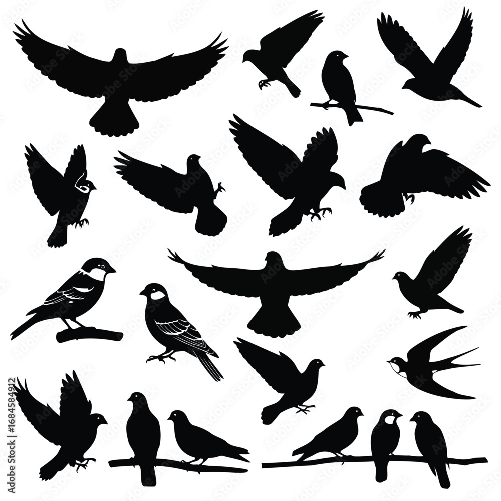 Obraz premium Diverse Bird Silhouettes A Collection of Winged Wildlife