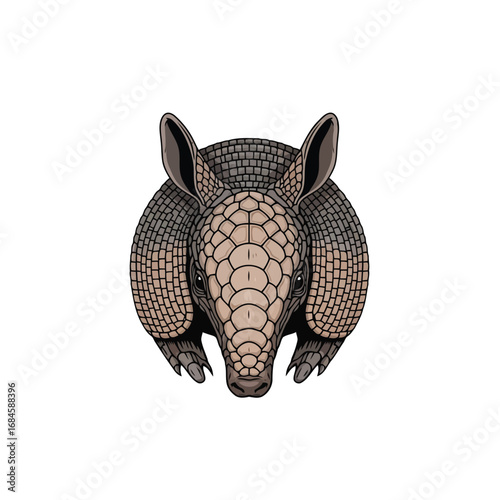 A detailed illustration of an armadillo mascot viewed from the front, isolated on a white background