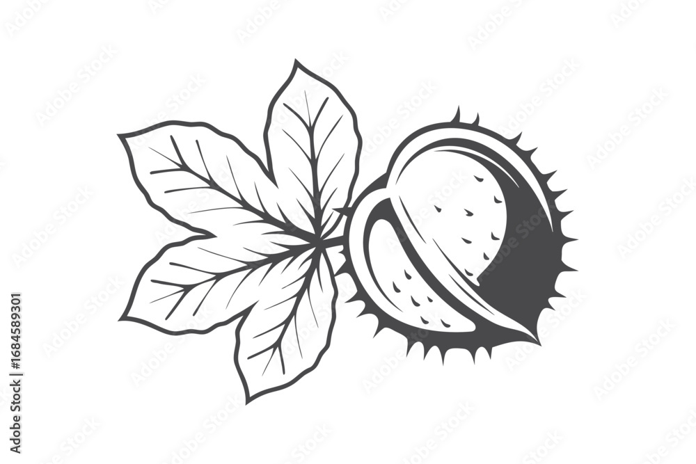 Fototapeta premium Style Horse Chestnut Fruit Outline with Leaves Isolated on White Background