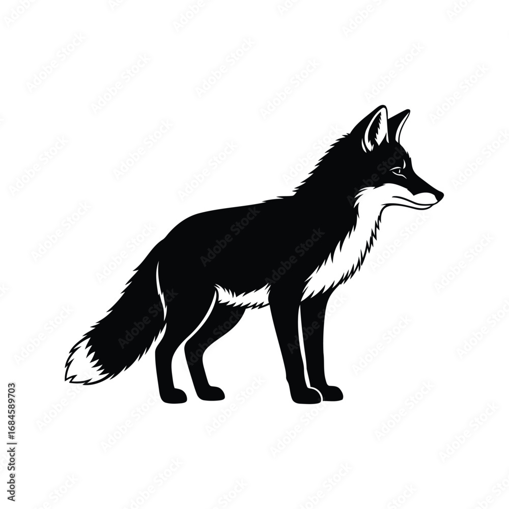Fototapeta premium Elegant Black and White Fox Illustration