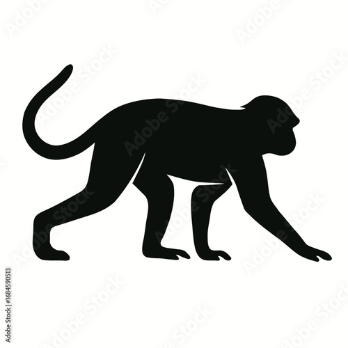 Black silhouette of a monkey walking on a white background, vector icon illustration
