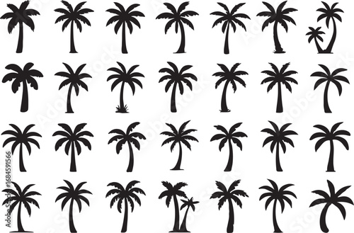 Palm Tree Icon  Black Silhouette Isolated on White Background for Tropical Nature Travel Design Projects