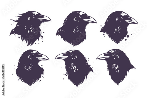 black raven head illustrations with ink splatters, vector set