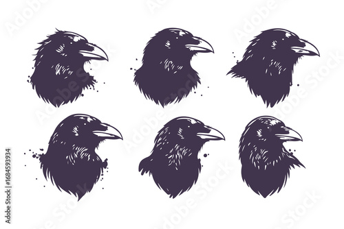 black raven head illustrations with ink splatters, vector set