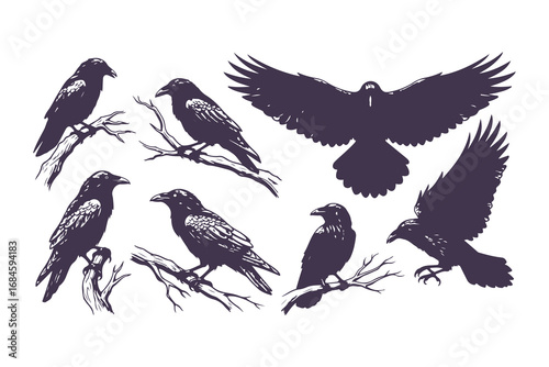 hand-drawn ravens standing on rocks, detailed vector illustration
