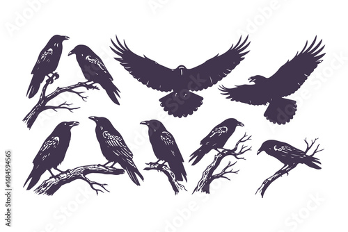 Collection of black ravens on branches, rocks and trees, vector set