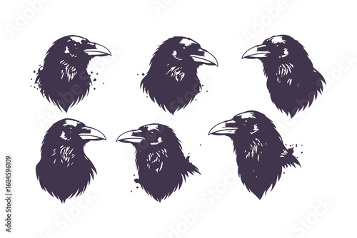 black raven head illustrations with ink splatters, vector set