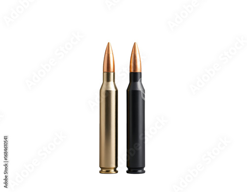 Two Rifle Cartridges Brass and Black Ammunition