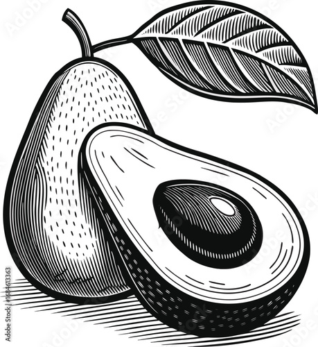 Avocado line art design