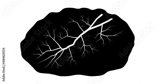 black and white leaf silhouette, detailed veins, nature illustration, botanical art, minimalist design, organic shape, plant, graphic, simple, elegant, illustration, , high resolution