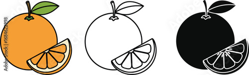 Orange fruit illustration vector graphic design templates set