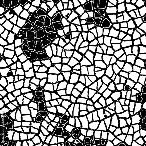Abstract black and white cracked pattern resembling dry earth or shattered glass with irregular shapes