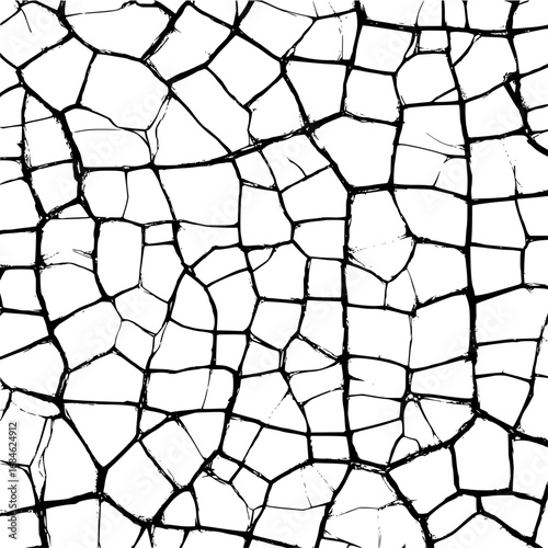 Abstract black lines creating a mosaic pattern on a white background forming a cracked earth texture
