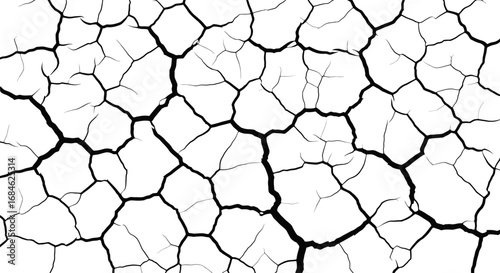 dry cracked earth texture, monochrome, arid climate, desert, drought, cracked surface, polygonal pattern, black and white, monochrome texture, seamless pattern