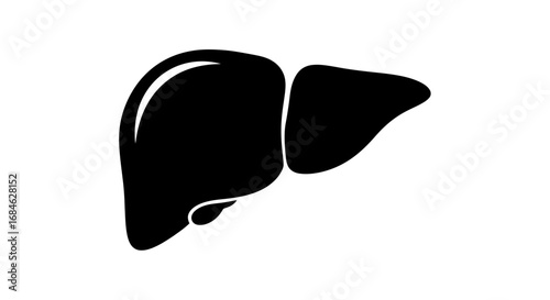 human liver organ anatomy medical illustration, black silhouette, internal organ