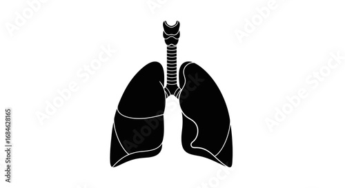 human lungs anatomy, respiratory system, medical illustration, black silhouette, organs, trachea, healthcare, biology, science