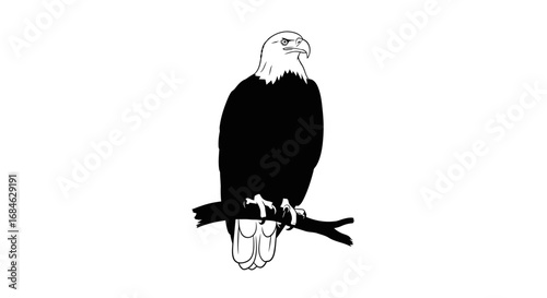 majestic bald eagle silhouette perched on branch american bird of prey, wildlife, nature