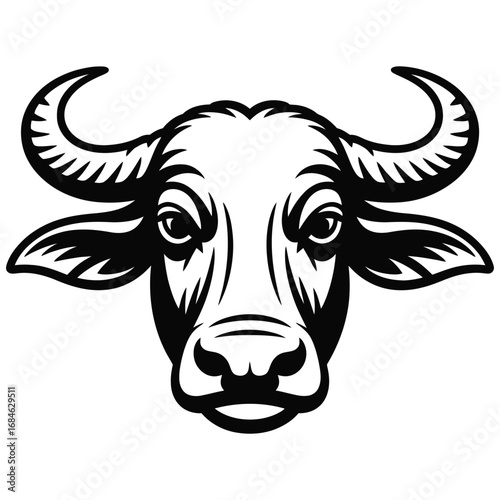 head of bull