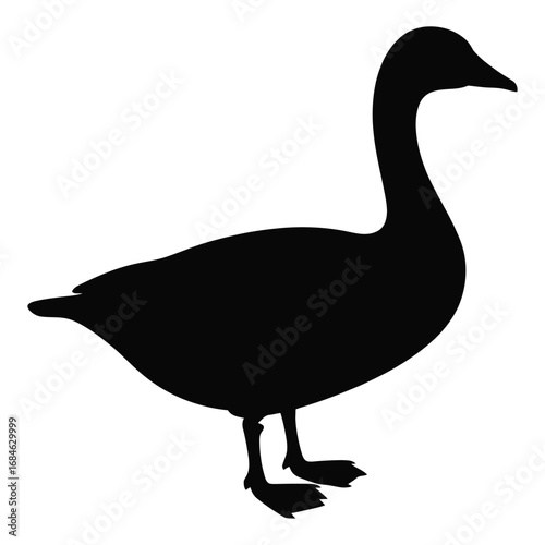 vector illustration of a goose