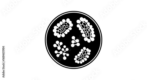 microscopic organisms petri dish bacteria, viruses, and cells illustration