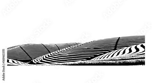 monochrome hillside abstract terraced landscape, black and white illustration, isolated on transparent background