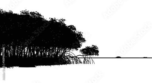 silhouette mangrove trees, coastal nature, ocean view, tropical landscape, black and white