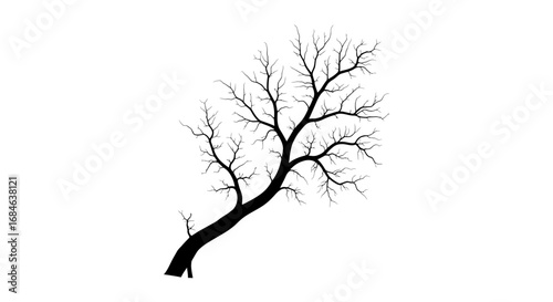 silhouette of a leafless tree, branches, winter, naked tree, monochrome, minimalist, graphic design element