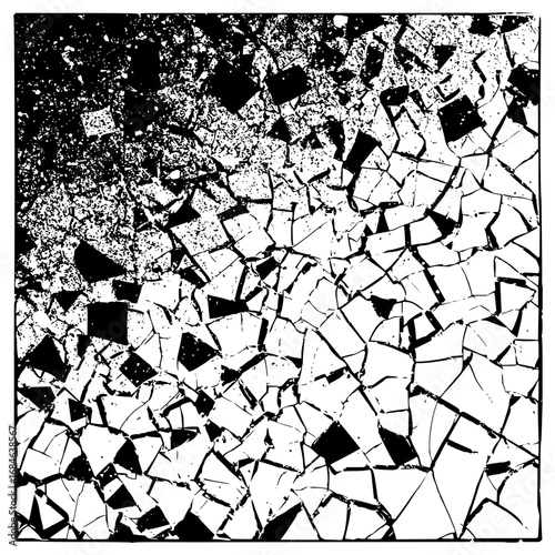 Black and white abstract image featuring a cracked or shattered texture with varying levels of density