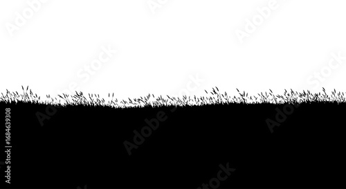 silhouette of grass, field, meadow, nature, landscape, black and white, plant, ecology, grassland, wild, vegetation, serenity, rural, outdoor, calm, wind, summer, spring