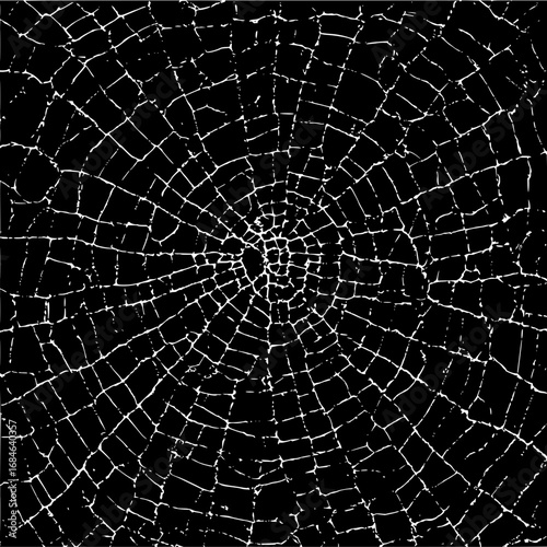 Radial pattern of white lines on a black background resembling a cracked surface or a spiderweb design