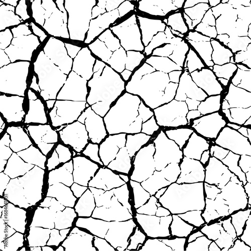 Black cracks on a white background creating a network of lines and shapes across the entire surface area