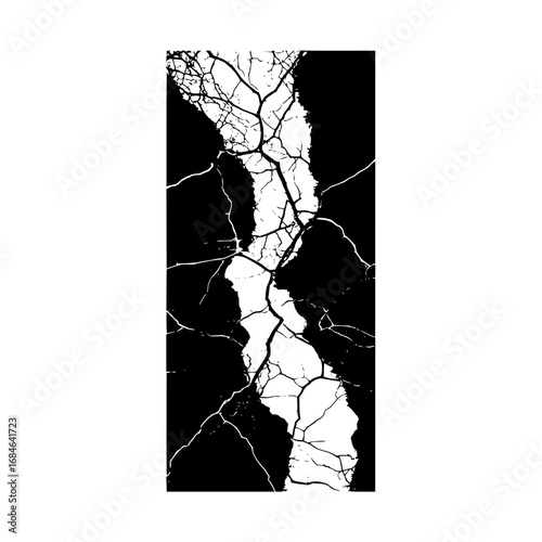 A black and white abstract design featuring a central white shape with branching lines and dark areas around it