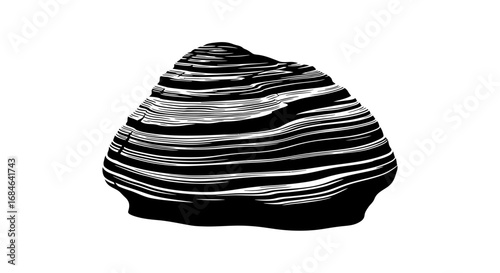 striped stone rock, black and white, graphic illustration, nature, geology, minimalist design element