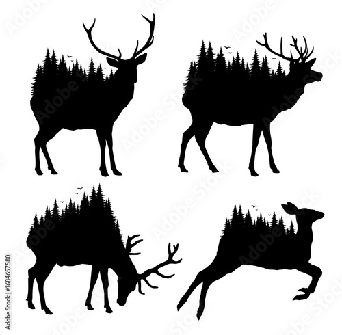 Wild deer silhouettes with coniferous forest.