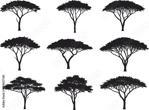 Black acacia tree silhouettes, isolated African savanna trees, flat vector design, nature landscape elements, tropical forest outlines, exotic vegetation icons, minimalist plant shapes art.