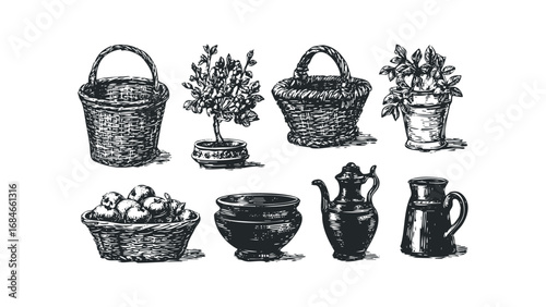 Collection of Vintage Kitchenware and Botanical Elements in Sketch Style. Vector hand drawn illustration