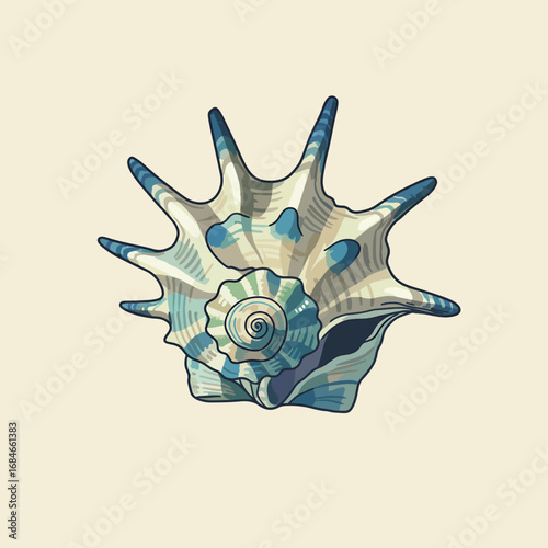 sea shells vector illustration