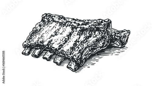 Ink drawing of pork ribs on a white background. Vector hand drawn illustration