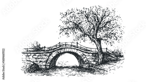 Sketch of an arched stone bridge with a leafy tree over water. Vector hand drawn illustration