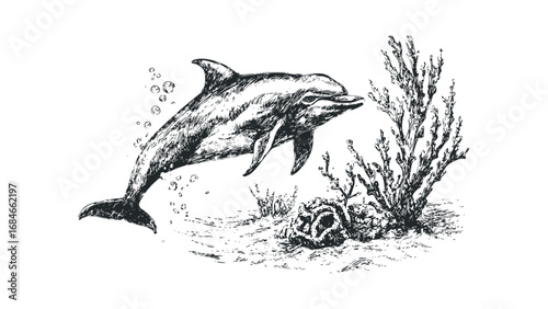 Sketch of Dolphin Swimming Near Coral and Bubbles on Transparent Background. Vector hand drawn illustration