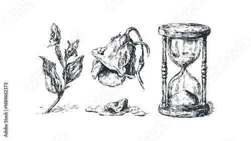 Sketch of a withered flower and hourglass on a transparent background. Vector hand drawn illustration