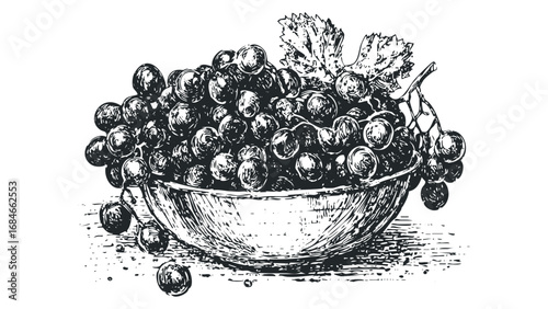 Black grapes in a bowl with leaves and stem illustration. Vector hand drawn illustration