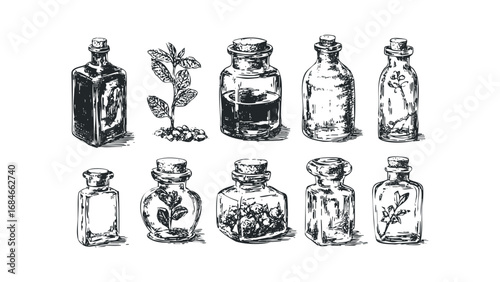 Collection of vintage glass bottles with cork stoppers and botanical elements. Vector hand drawn illustration